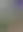 Placeholder for the image
