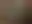 Placeholder for the image