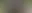 Placeholder for the image