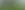 Placeholder for the image