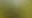 Placeholder for the image