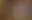 Placeholder for the image